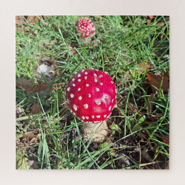 Red mushroom  jigsaw puzzle (Vertical)