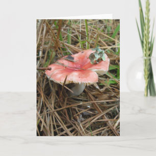 Red Mushroom OBX Note Card