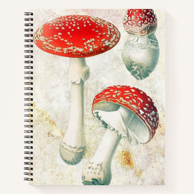 Red mushrooms morel faded distressed background notebook (Front)