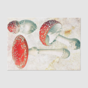 Red mushrooms morel faded distressed background tissue paper