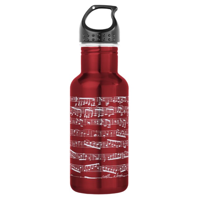 Red music notes 532 ml water bottle (Front)