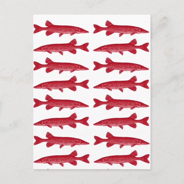 Red Muskie Postcard (Front)