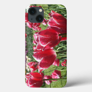 Red N White Tulips iPad Case