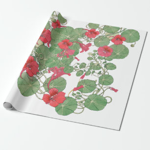 Red Nasturtiums   Antique Lithograph 1896 Wrapping Paper