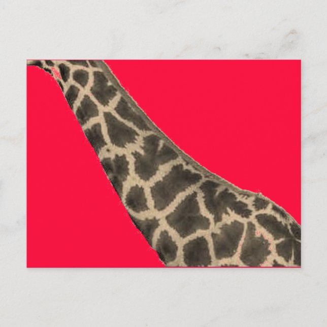 red neck postcard (Front)