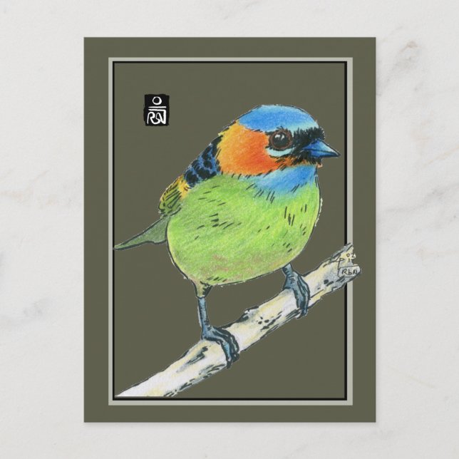 Red-Necked Tanager Bird Postcard (Front)