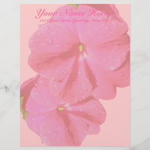Red New Guinea Impatiens Letterhead