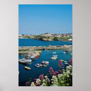 Red Newquay harbour, Cornwall, U.K. flowers Poster