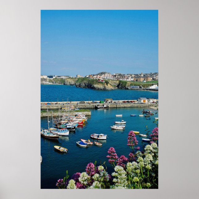 Red Newquay harbour, Cornwall, U.K. flowers Poster (Front)