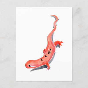Red Newt Postcard