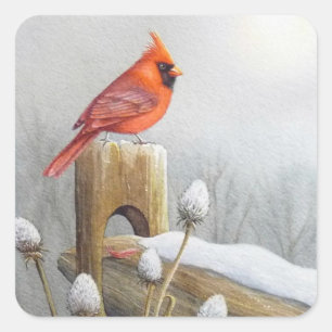 Red Northern Cardinal Bird on Fence Watercolor Art Square Sticker