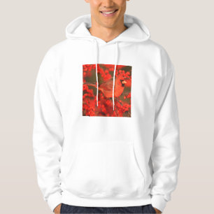 Red Northern Cardinal Male, IL Hoodie