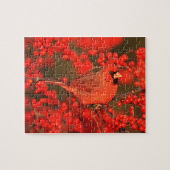 Red Northern Cardinal Male, IL Jigsaw Puzzle (Horizontal)