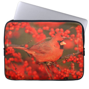 Red Northern Cardinal Male, IL Laptop Sleeve