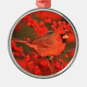 Red Northern Cardinal Male, IL Metal Tree Decoration