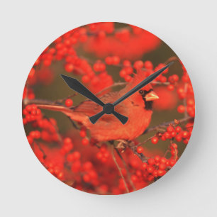 Red Northern Cardinal Male, IL Round Clock