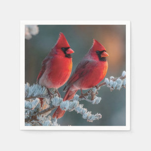 Red Northern Cardinals Perched on a Frosted Branch Napkin