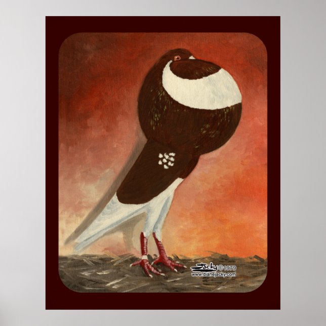 Red Norwich Cropper Pigeon Poster (Front)