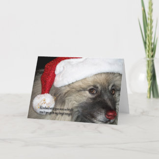Red Nose Keeshond Christmas card