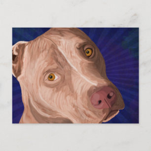 Red Nose Pit Bull with a Blue Background Postcard