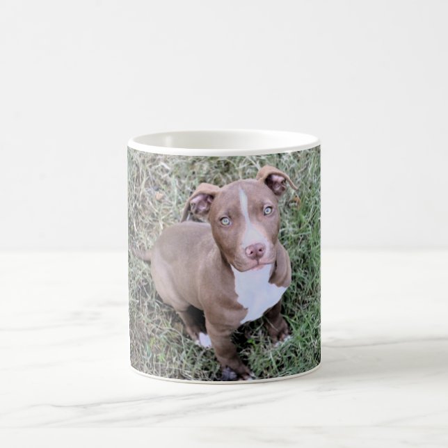 Red Nose Pitbull Coffee Mug (Center)
