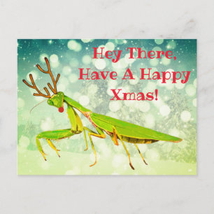 Red Nosed Praying Mantis Weird Christmas Postcard