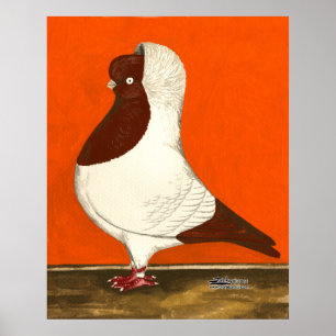 Red Nun Pigeon Poster