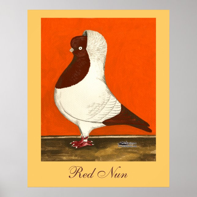Red Nun Pigeon Poster (Front)