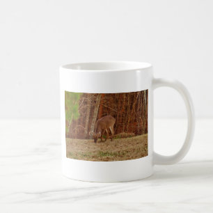 Red Oak Camouflage Stag Buck Deer Feeding Coffee Mug