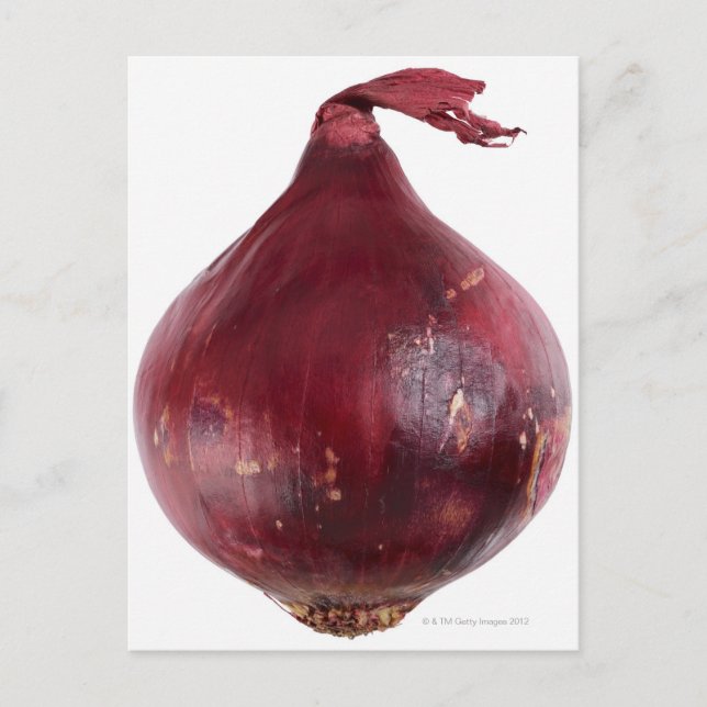 Red onion  isolated on white background, DFF Postcard (Front)