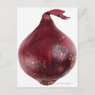 Red onion  isolated on white background, DFF Postcard