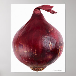 Red onion  isolated on white background, DFF Poster