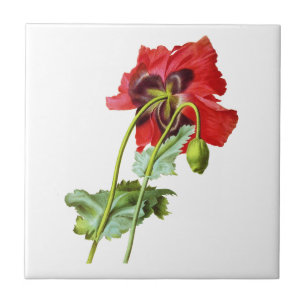 Red Opium Poppy by Pierre Joseph Redoute Ceramic Tile
