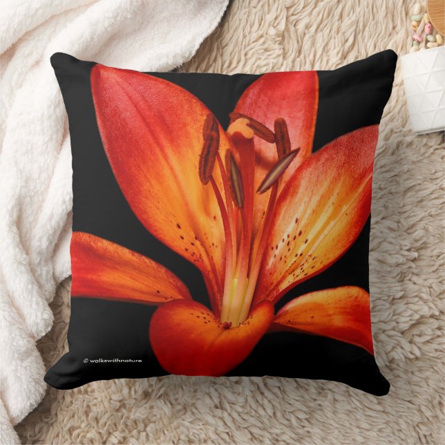 Red Orange Asiatic Lilies Gran Paradiso Cushion (Blanket)