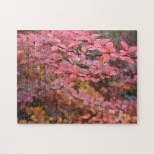 Red Orange Fall Foliage Autumn Leaves Nature Photo Jigsaw Puzzle