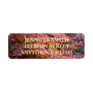 Red Orange Fall Foliage Autumn Leaves Nature Photo Return Address Label