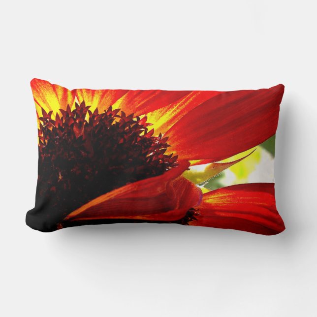 Red Orange Gerbera Daisy Photo Bold Modern Stylish Lumbar Cushion (Front)