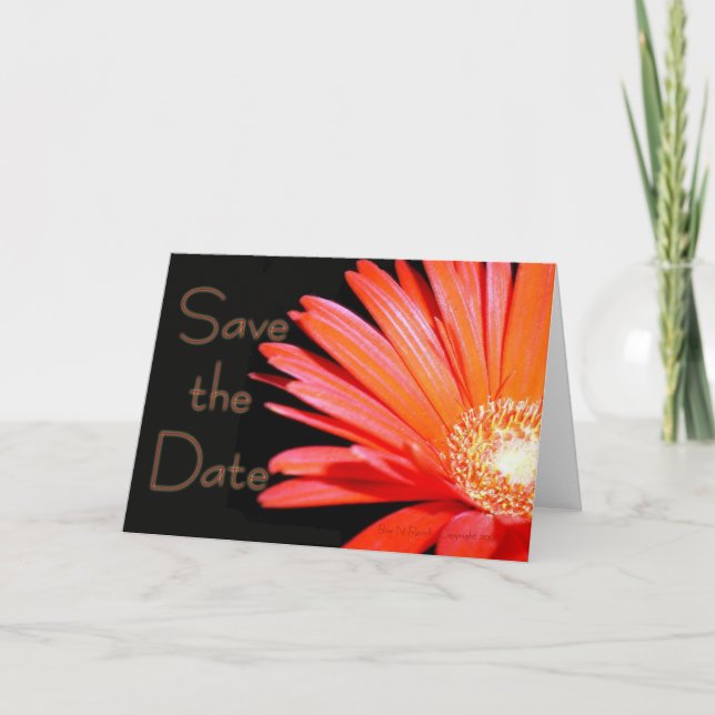Red Orange Gerbera Daisy Save the date Announcement (Front)