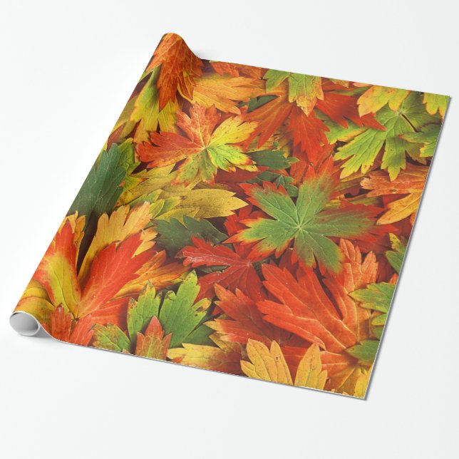 Red Orange Gold & Green Fall Pinwheel Leaves Wrapping Paper (Unrolled)