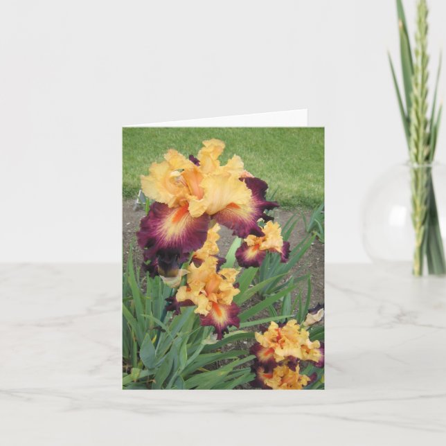 Red Orange Iris Small Blank Note Card (Front)