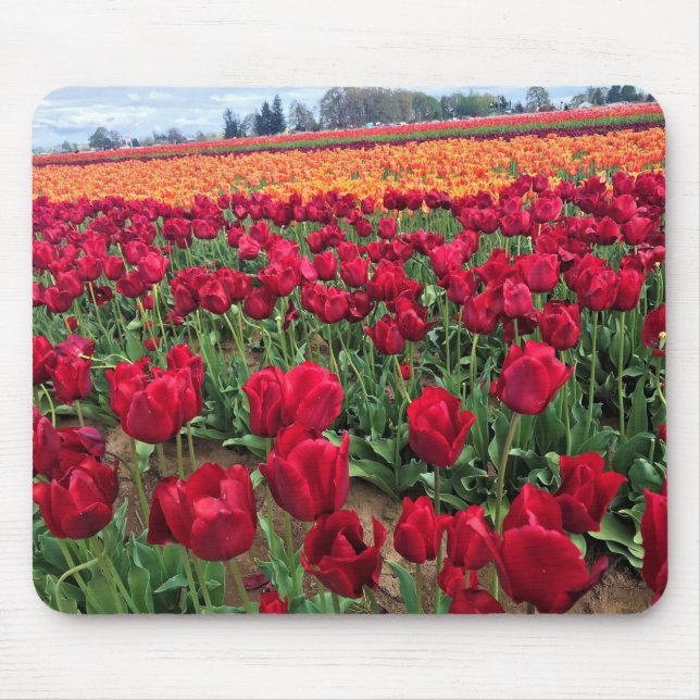 Red & Orange Tulip Field, Oregon Mouse Pad (Front)