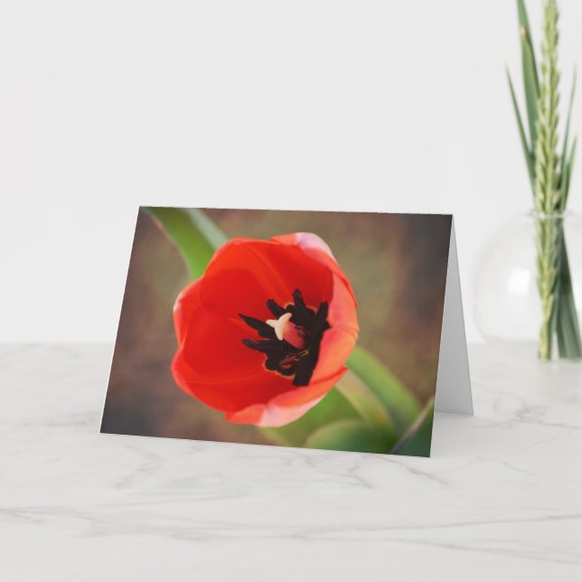 Red Orange Tulip Flower Art Note Card (Front)