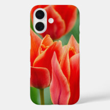 Red Orange Tulips iPhone 16 Case