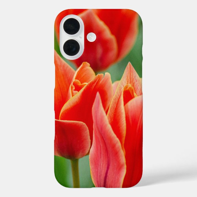Red Orange Tulips iPhone 16 Case  (Back)