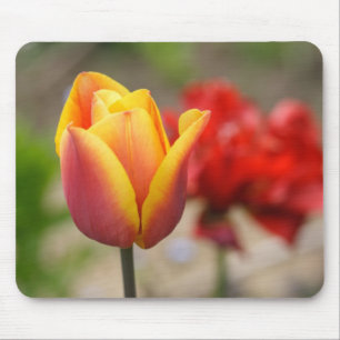 Red-Orange Tulips Mouse Pad
