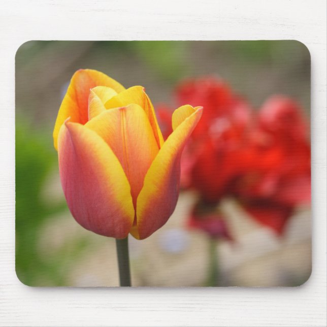 Red-Orange Tulips Mouse Pad (Front)