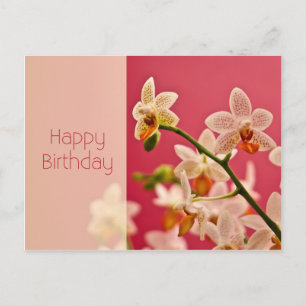 Red Orchid • Birthday Postcard