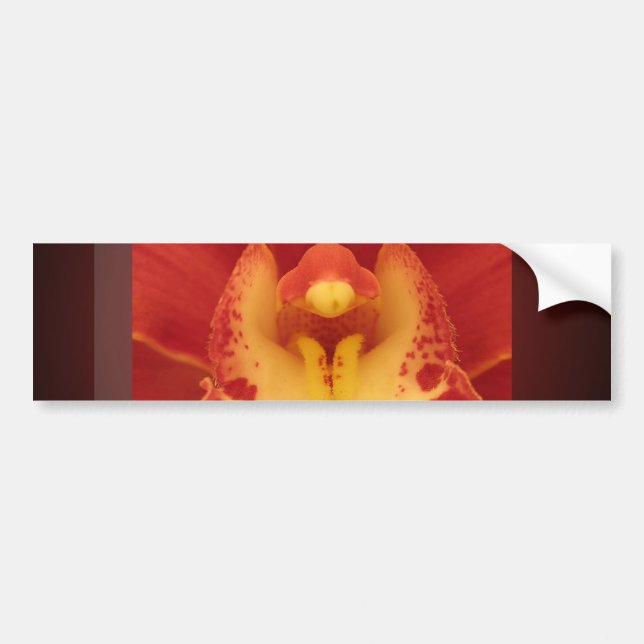 Red Orchid Bumper Sticker (Front)