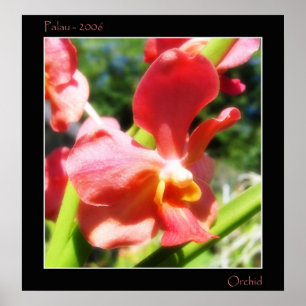 Red Orchid Poster