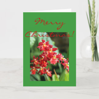 Red Orchids Holiday Card